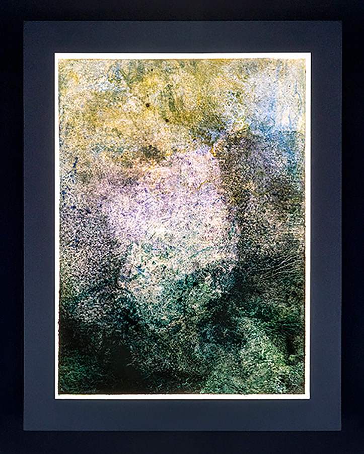 Corallium 48, oil on archival film, 33” x 25”,  backlit, 2023