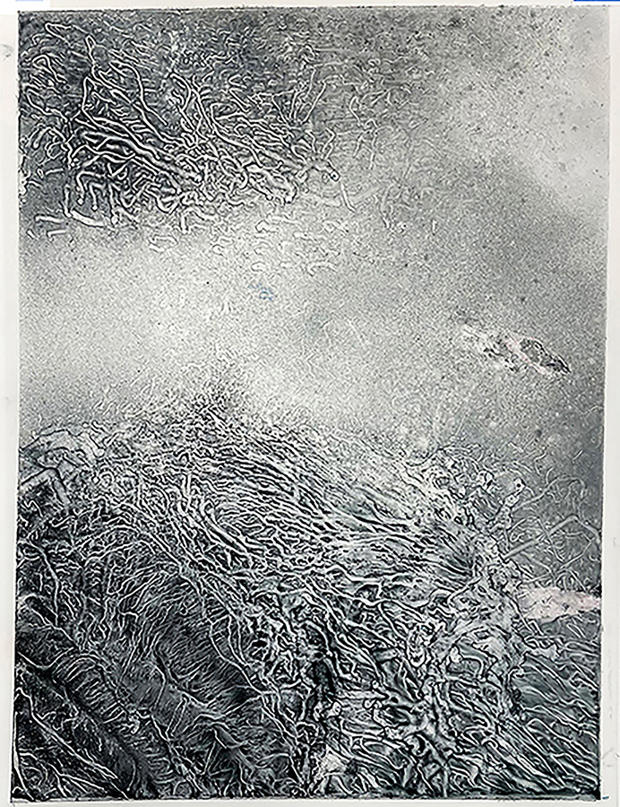 Corallium 50, oil on archival film, 33” x 25”,  backlit, 2023